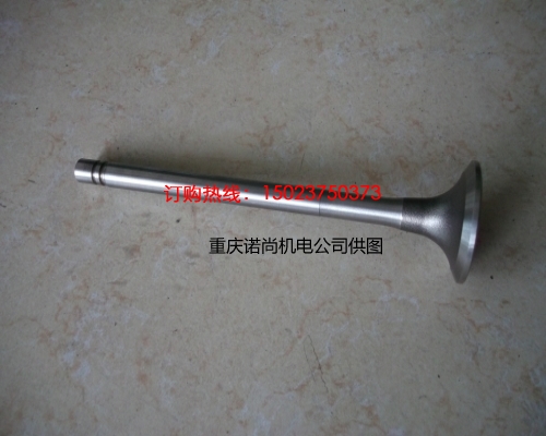 康明斯NT855-C310發動機排氣門145701