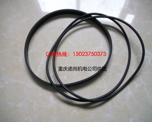 康明斯NTA855-G1B發(fā)動機O型密封圈3032874
