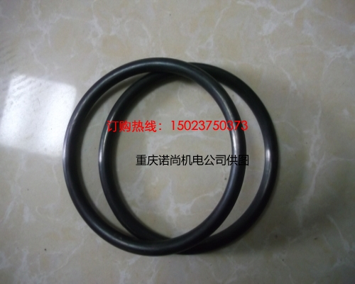 重慶康明斯O型密封圈3007512
