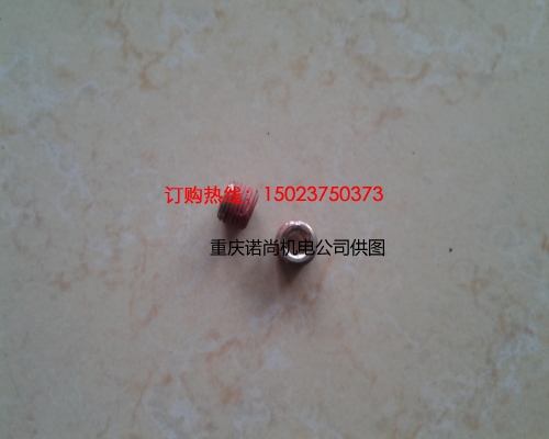 婁底康明斯K19空壓機(jī)調(diào)節(jié)器管塞3008465