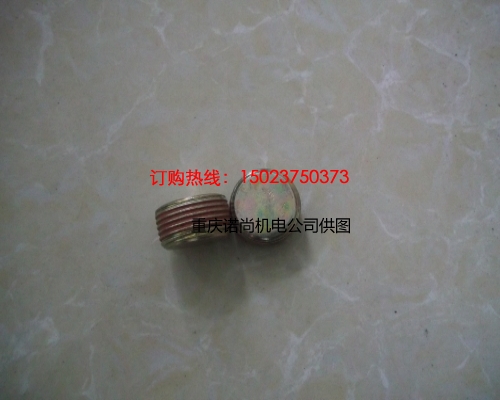 重慶康明斯管塞3008469