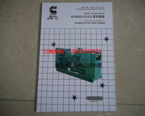 康明斯NTA855-G1/G2偉力零件圖冊3166190