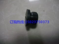 重慶康明斯堵塞139473
