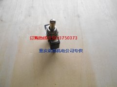 康明斯跳動式開關(guān)113527