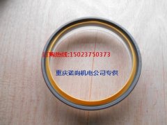 康明斯NTA855-C360發動機曲軸后油封3006738