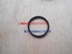 康明斯KTA38-G9發動機缸蓋密封圈3045979