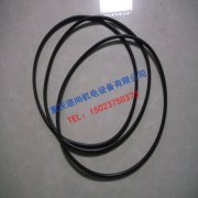 美國(guó)康明斯QSK60水泵密封圈206457